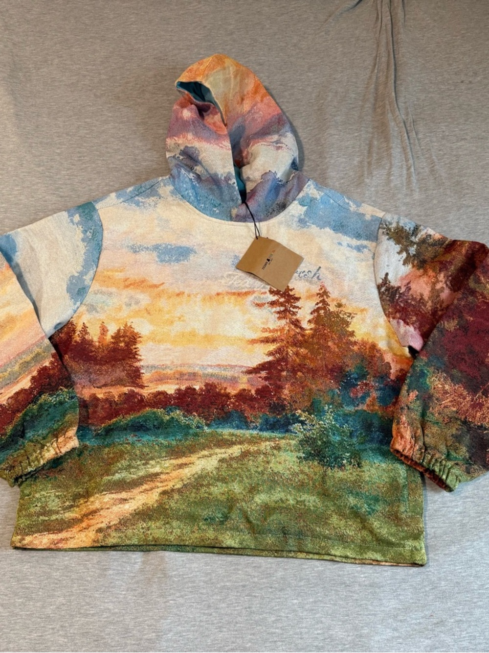 Teddy Fresh Multicolor Scenic Print Hoodie in Blue, Pink, Yellow